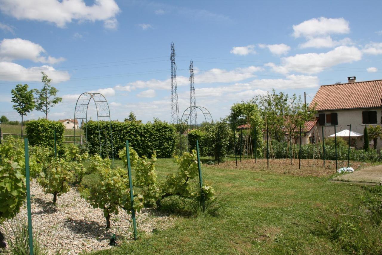 1 Bedroom House 20Min Walk To Centre In Tournus Exterior foto